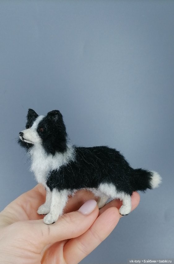 Бордер - колли — Домашние фото авторских игрушек: Тедди (фото 7)