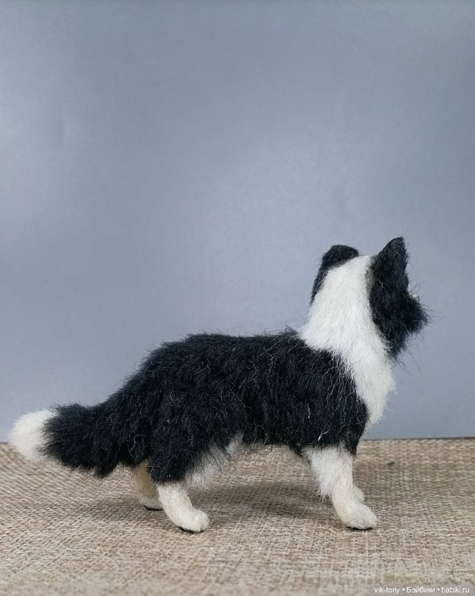 Бордер - колли — Домашние фото авторских игрушек: Тедди (фото 6)