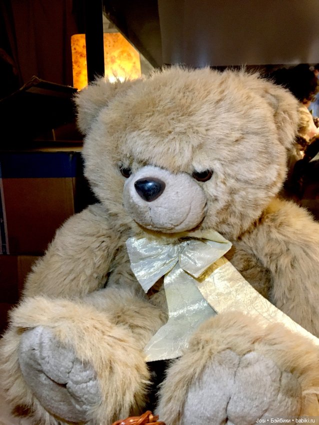 Куколки собираются на выставку