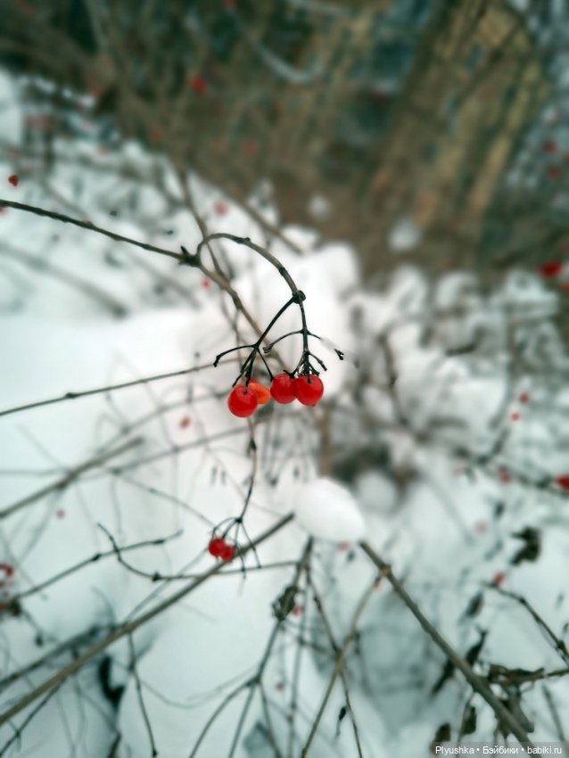 Касуми на прогулке — Аниме куклы (MJD/Винил): Imomo (фото 2)