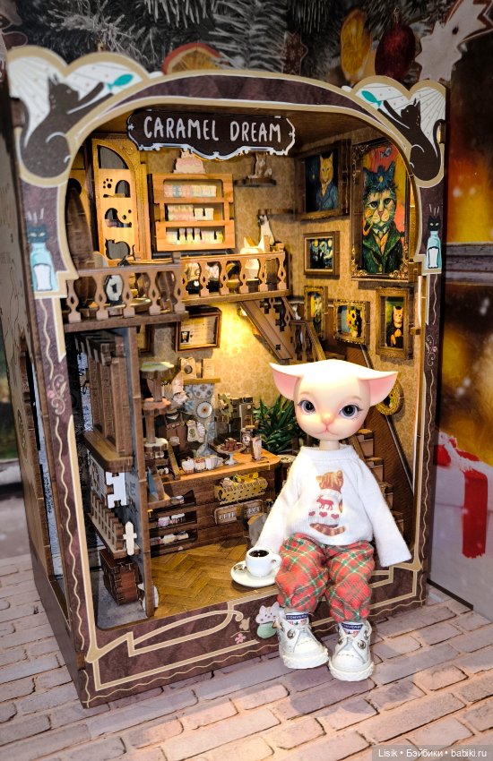 Кото-кофейня "Карамельные мечты"