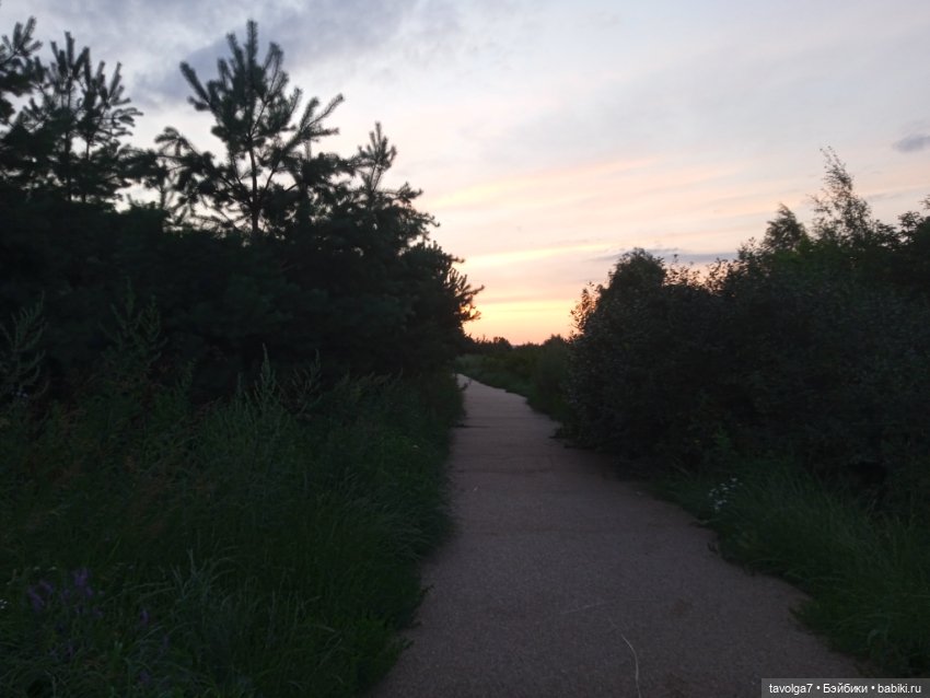 "Вслед за детьми молчащими странно"