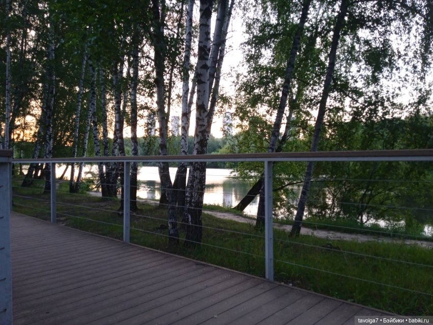 "Вслед за детьми молчащими странно"