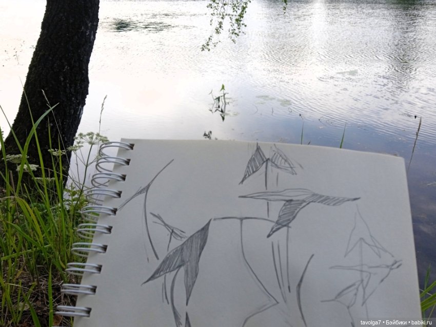 "Вслед за детьми молчащими странно"