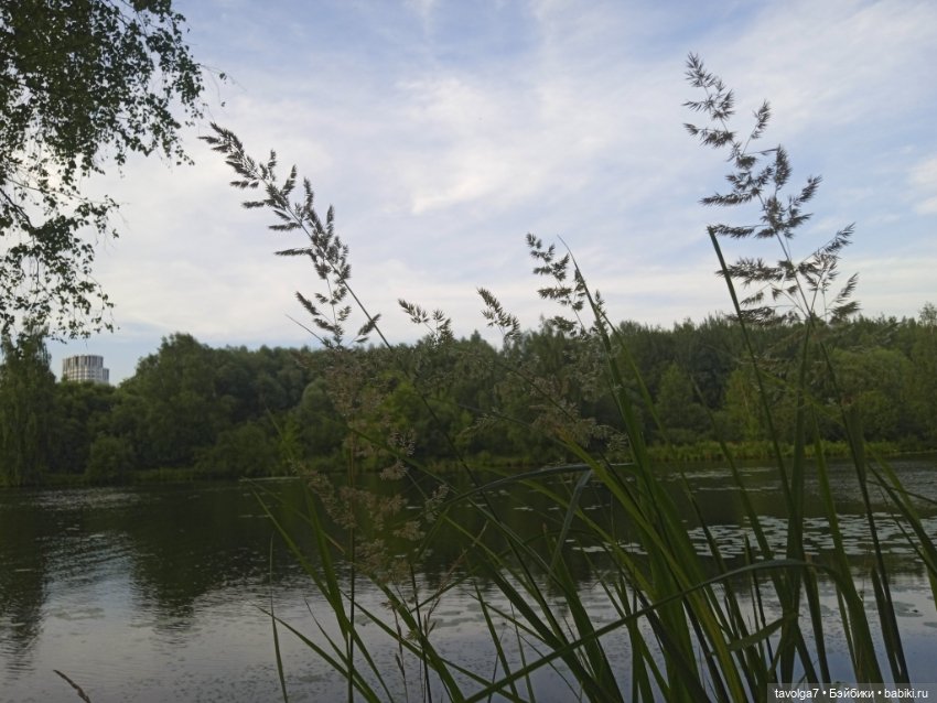 "Вслед за детьми молчащими странно"