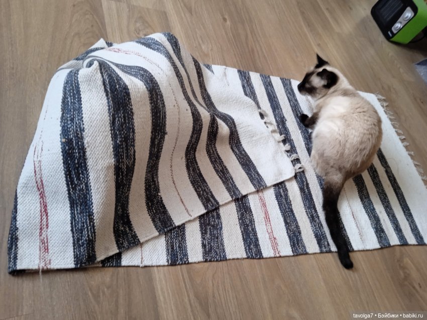 Gatta Siamese — Болталка и разговоры обо всем: жизнь (фото 3)