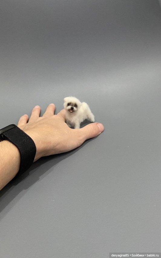 Болонка — Валяные игрушки из шерсти: сухое валяние (фото 5)