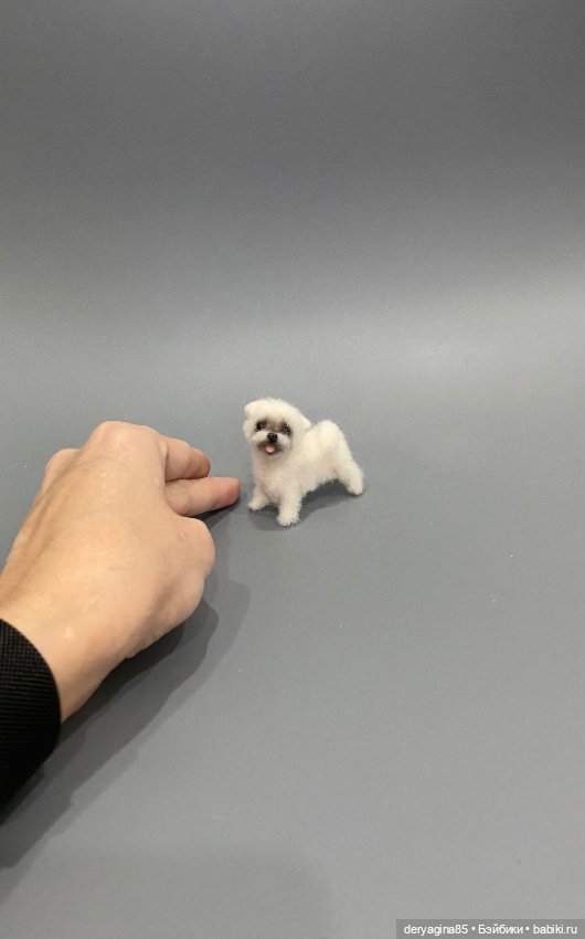 Болонка — Валяные игрушки из шерсти: сухое валяние (фото 7)