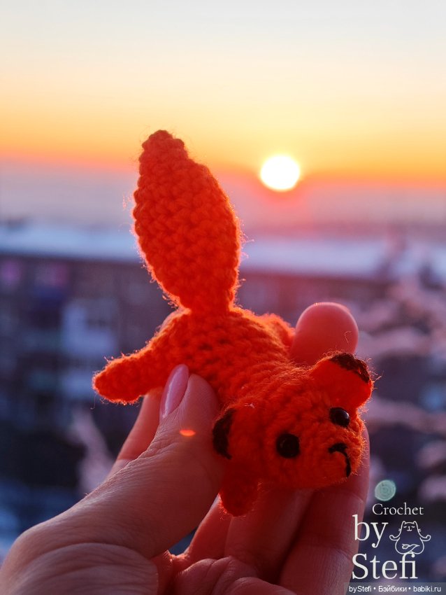 Покажу нового лисика и закат (фото 2)