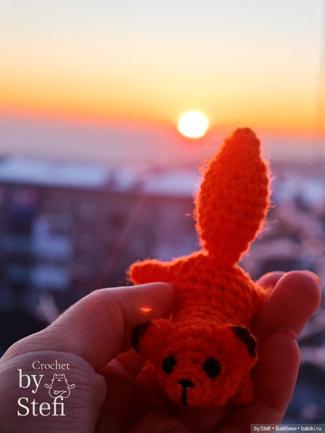 Покажу нового лисика и закат (фото 3)