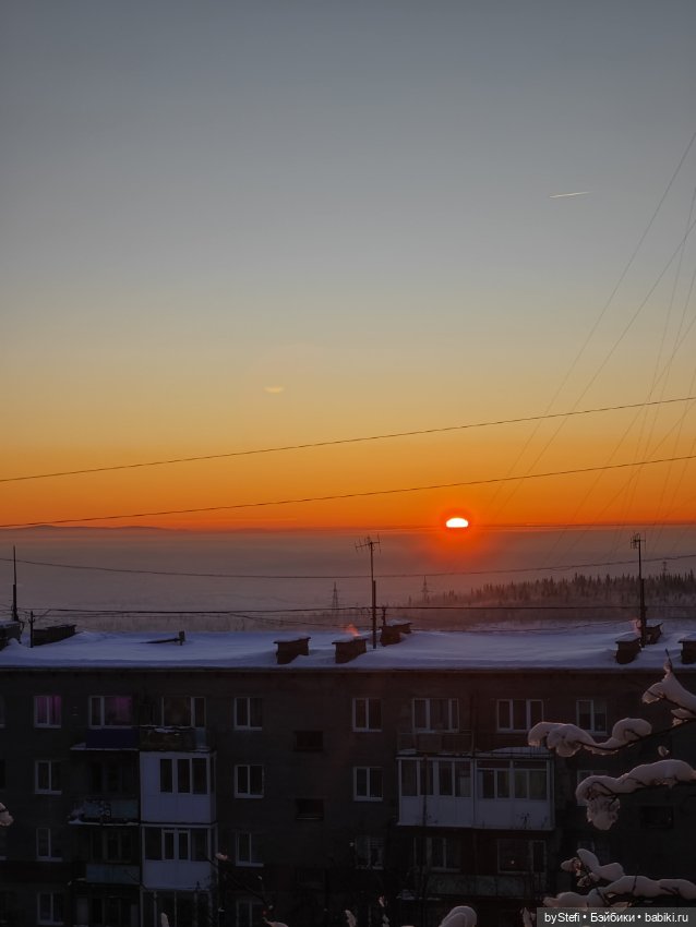 Покажу нового лисика и закат (фото 5)