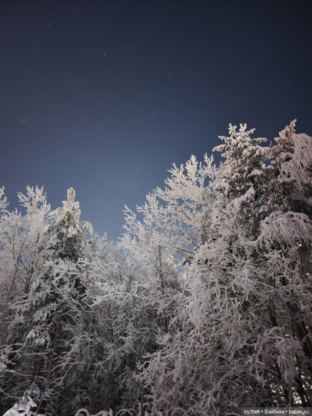 Северное сияние — Красивая природа и цветы: фото пейзажей (фото 5)