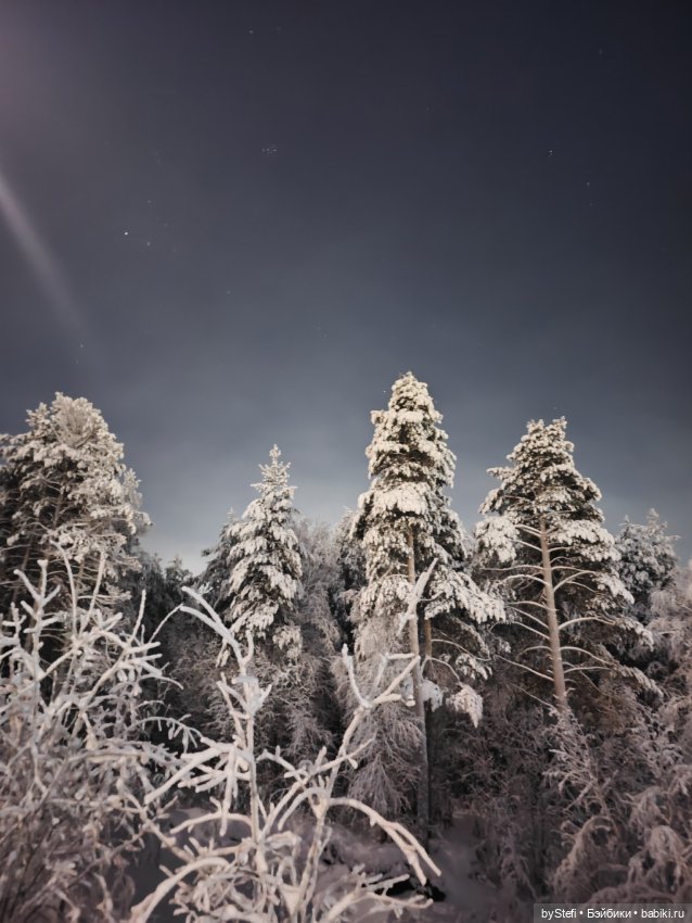 Северное сияние — Красивая природа и цветы: фото пейзажей (фото 9)