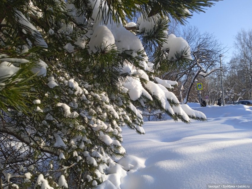 Moxie Teenz Мороз и солнце (фото 4)