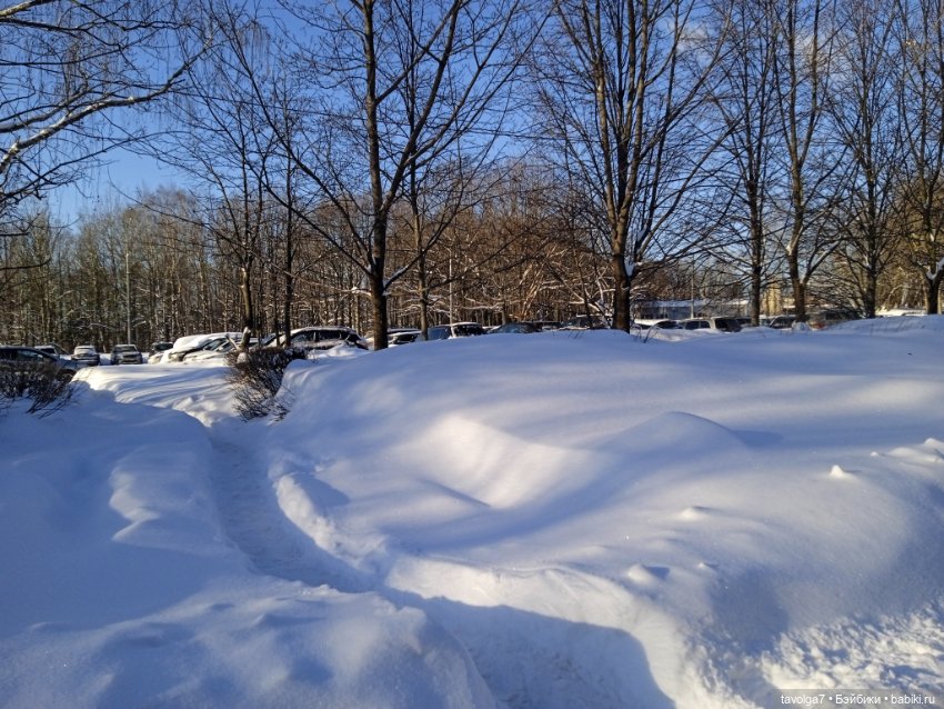 Moxie Teenz Мороз и солнце