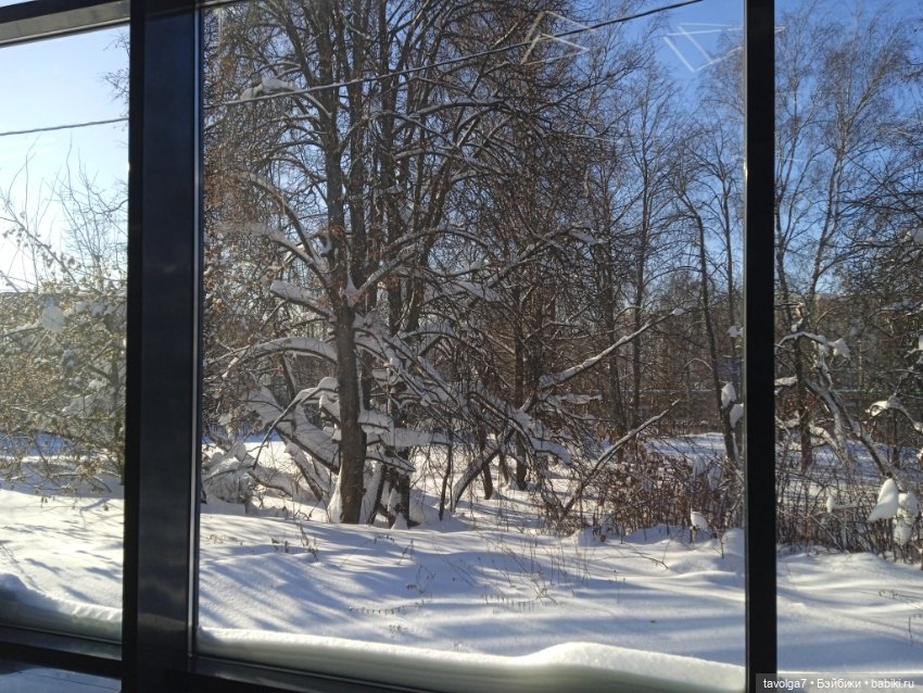 Moxie Teenz Мороз и солнце