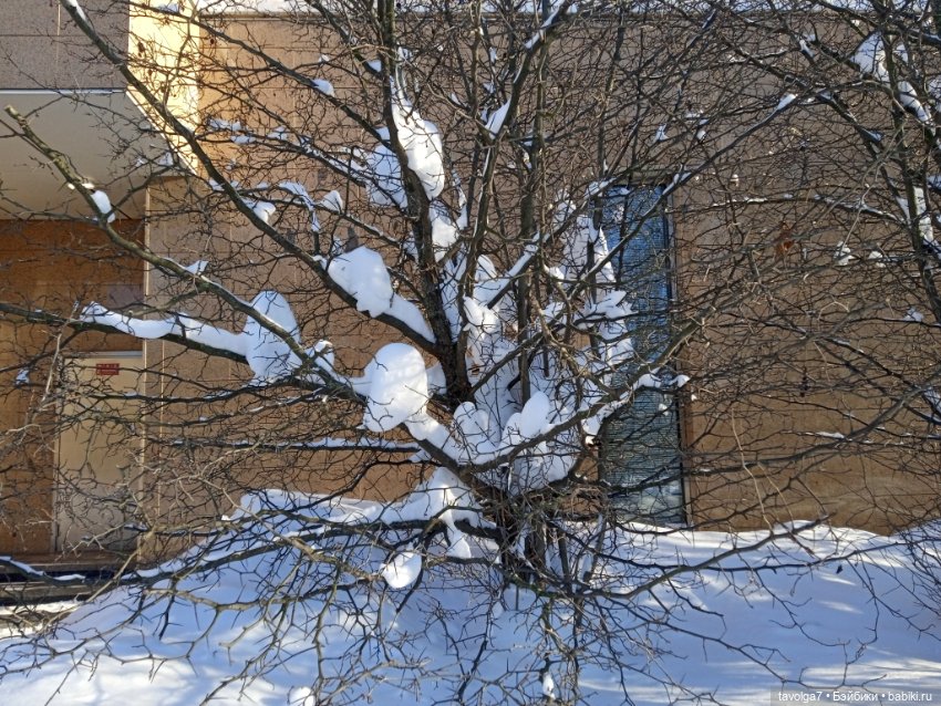 Moxie Teenz Мороз и солнце