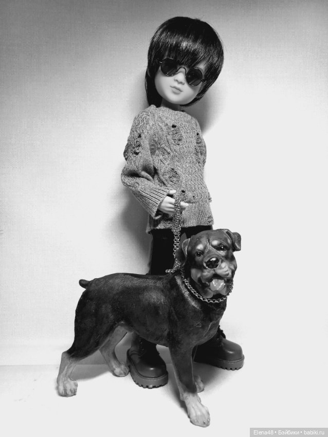 Мои красавчики😍 — Куклы Ruby Red (Руби Ред) Fashion Friends: Siblies