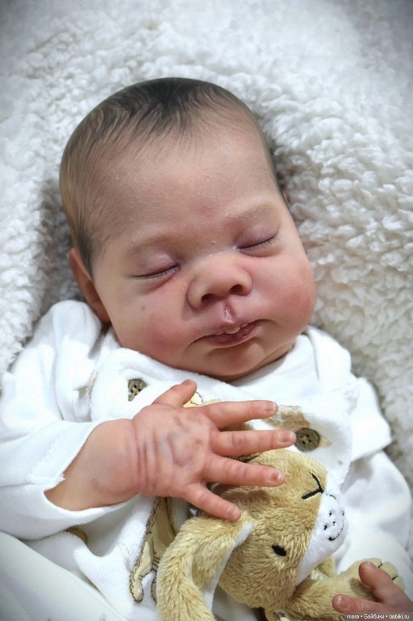 Lennon от Doris Moyers Hornbogen (фото 4)