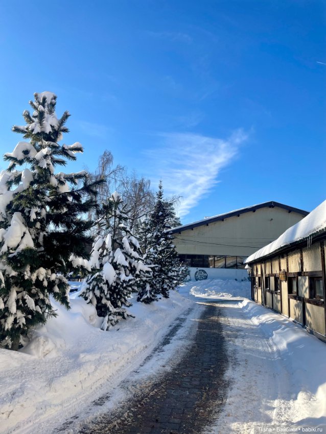 Прогулка на конюшне с Littleberry (фото 2)