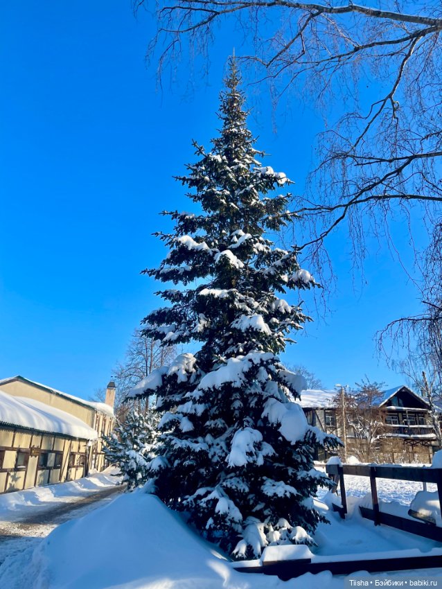 Прогулка на конюшне с Littleberry