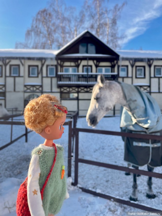 Прогулка на конюшне с Littleberry (фото 7)