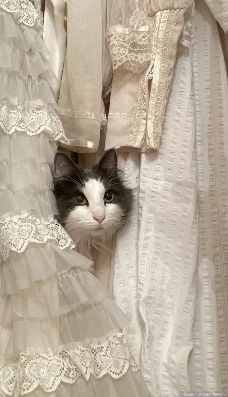 Цвет 2026 от Pantone Cloud Dancer