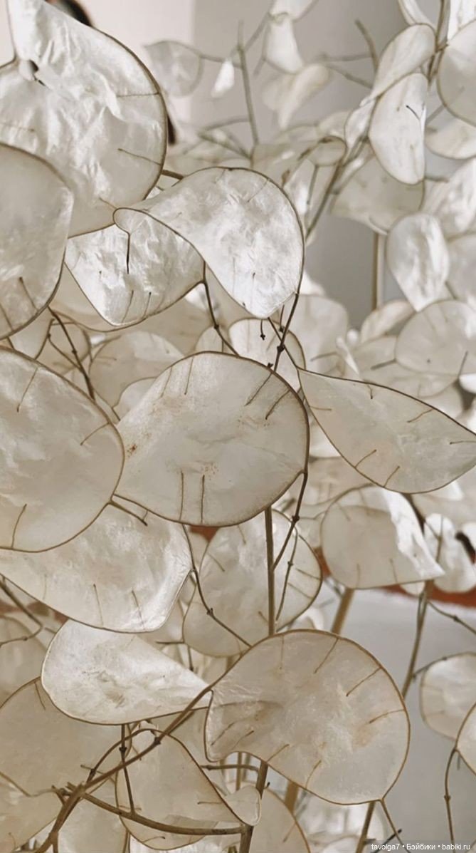 Цвет 2026 от Pantone Cloud Dancer (фото 7)