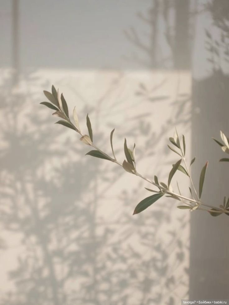 Цвет 2026 от Pantone Cloud Dancer