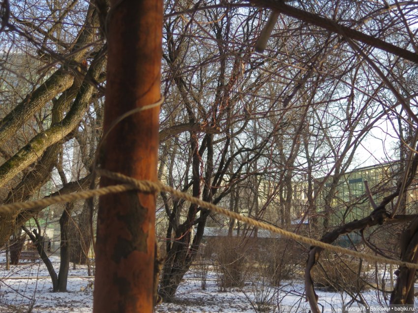 Имболк — Азиатские виниловые куклы (разное): Китай