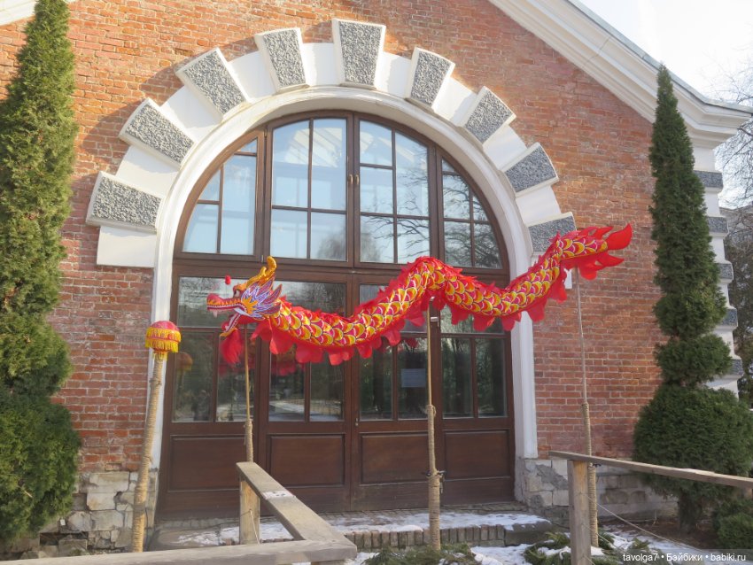 Имболк — Азиатские виниловые куклы (разное): Китай (фото 10)