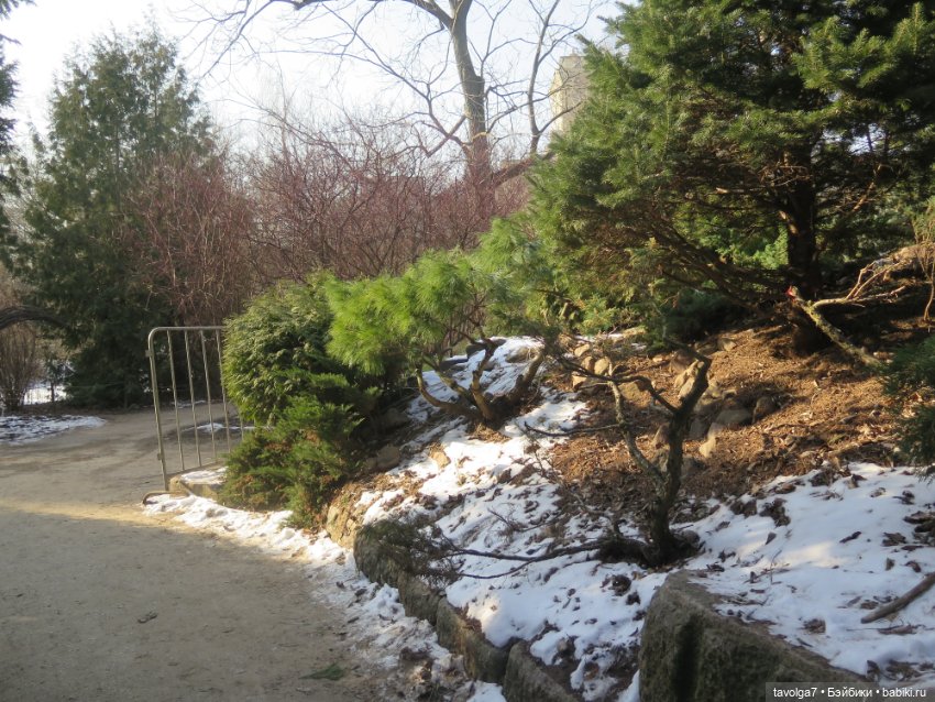 Имболк — Азиатские виниловые куклы (разное): Китай (фото 9)