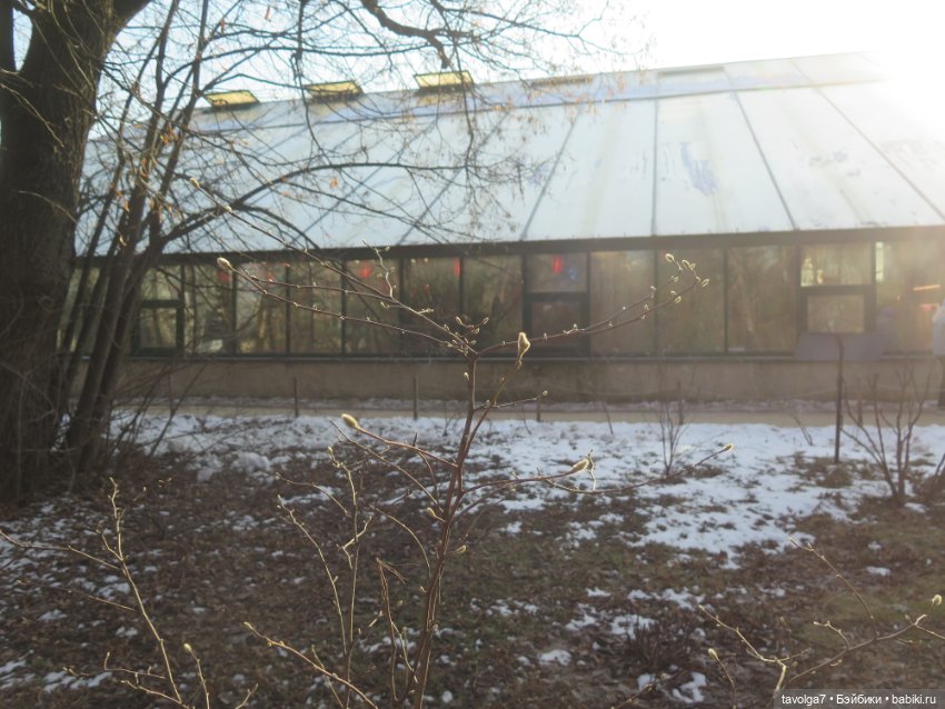 Имболк — Азиатские виниловые куклы (разное): Китай