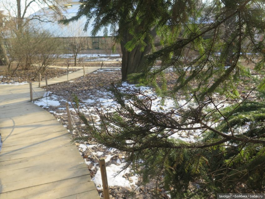 Имболк — Азиатские виниловые куклы (разное): Китай