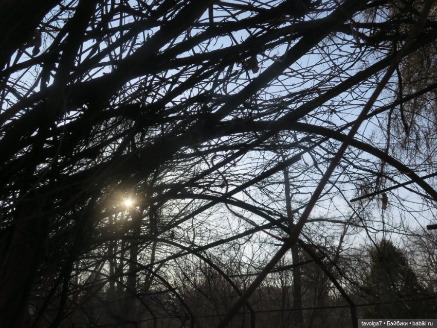 Имболк — Азиатские виниловые куклы (разное): Китай