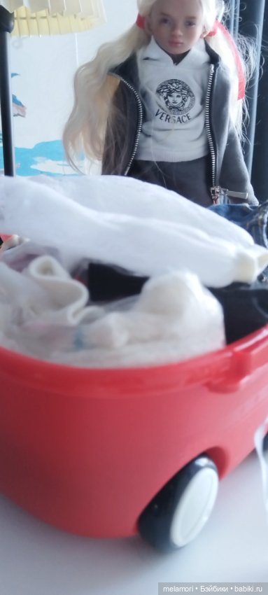 Все свое ношу с собой 😊 — Куклы Dart dolls (Анна Шиткина): российские BJD (БЖД) (фото 5)