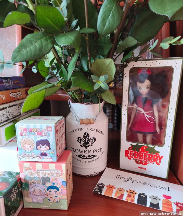 Подарки на День Рождения — Коллекции игровых кукол (Playline): фото полок