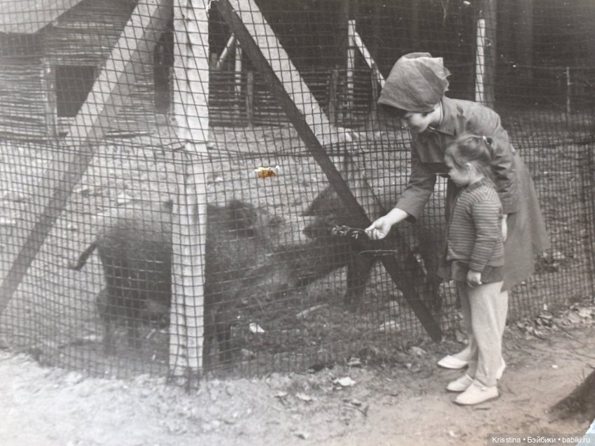 Дневник воспоминаний — Болталка и разговоры обо всем: жизнь (фото 5)