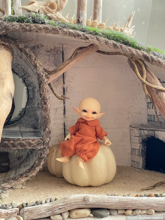 Дом-нора: процесс. Выбор домовладельца