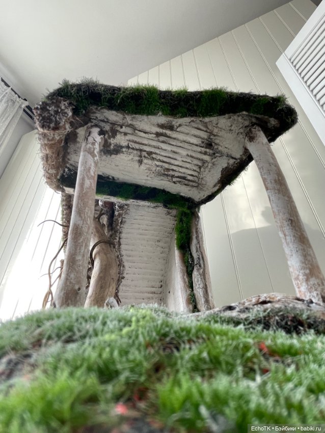 Дом-нора: процесс. Выбор домовладельца (фото 7)