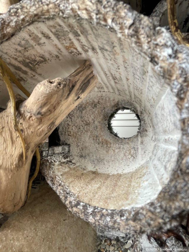 Дом-нора: процесс. Выбор домовладельца