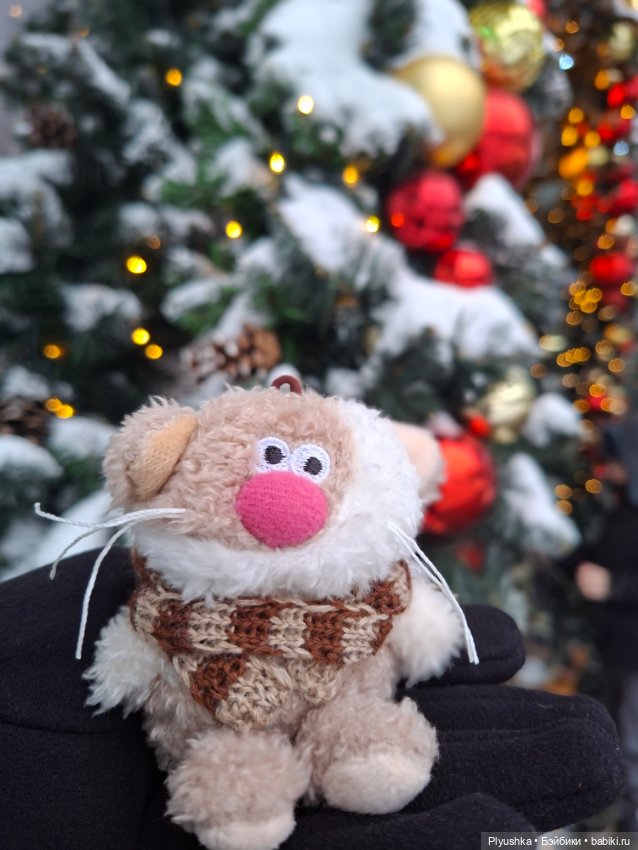 Снежный январь Кофейного Кота