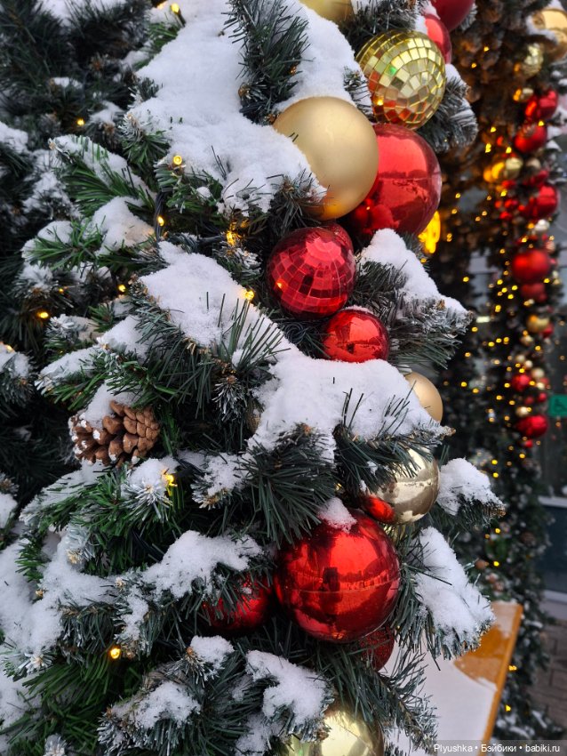 Снежный январь Кофейного Кота