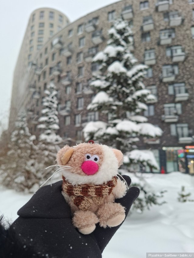 Снежный январь Кофейного Кота