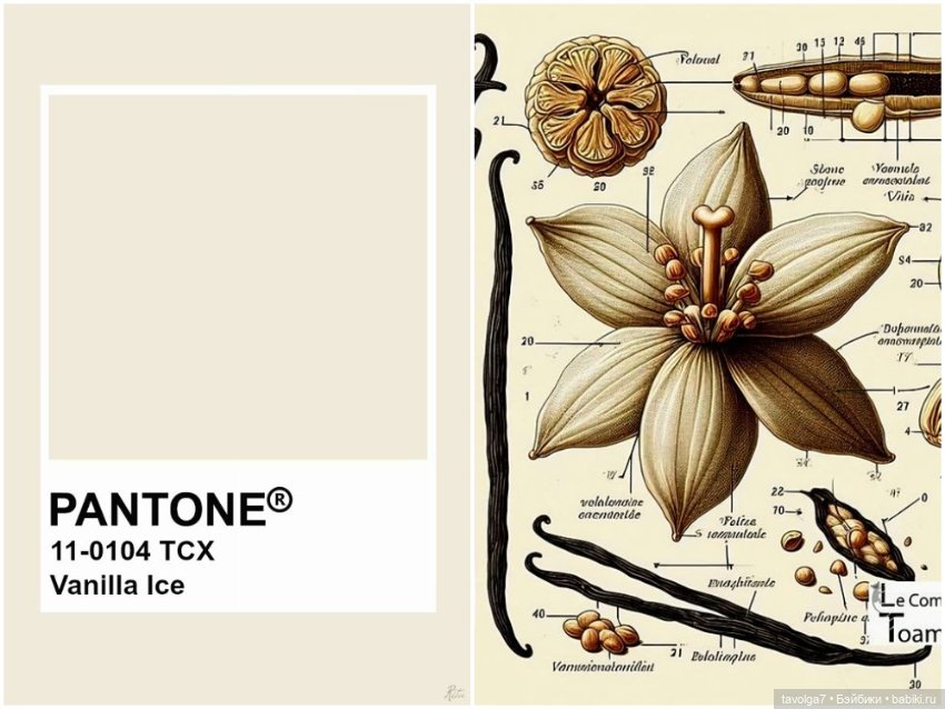 13 Оттенков белого — Культура (фото 8)