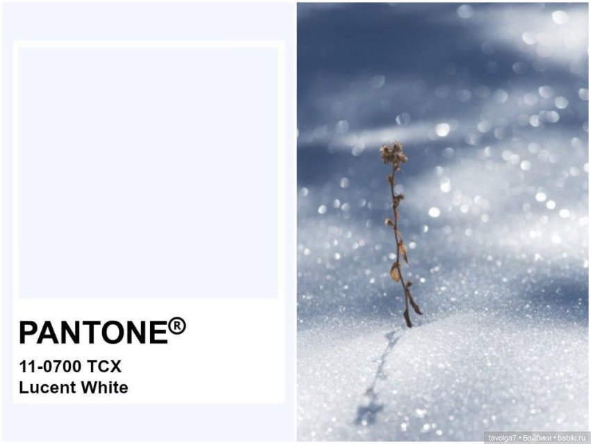 13 Оттенков белого — Культура