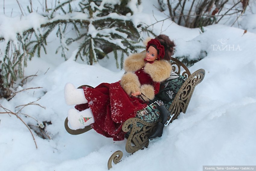 Зимняя прогулка Викторианской леди (фото 5)