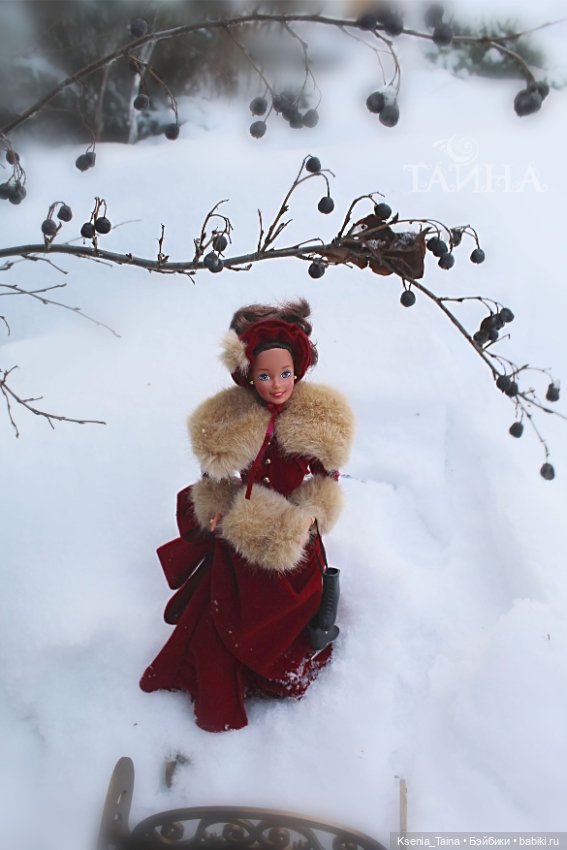 Зимняя прогулка Викторианской леди (фото 9)