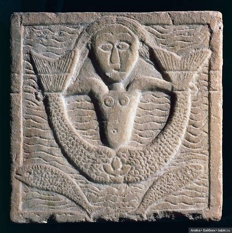 Миксопарфенос — Культура (фото 10)