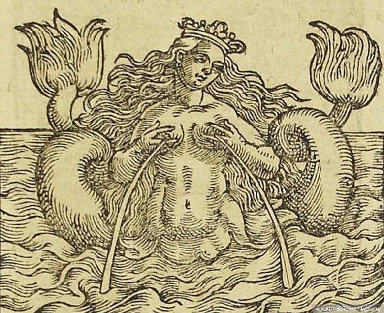 Миксопарфенос — Культура (фото 5)